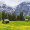 Finding Peace and Comfort Your Next Getaway To The Swiss Countryside