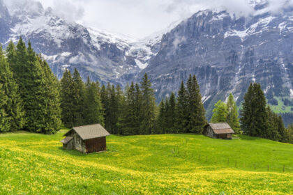 Finding Peace and Comfort Your Next Getaway To The Swiss Countryside