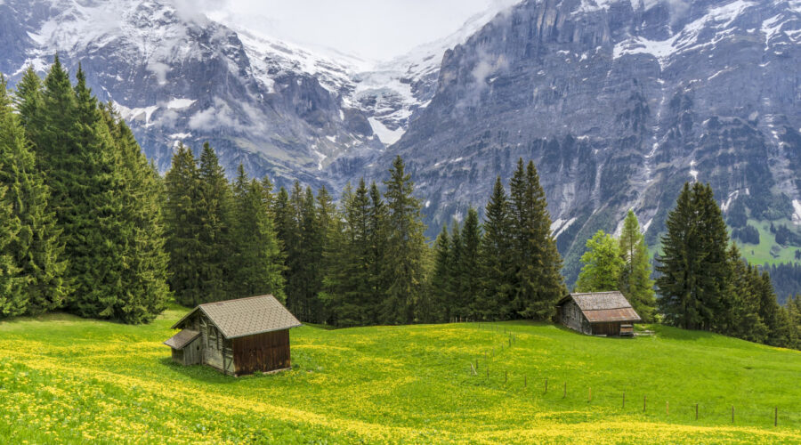 Finding Peace and Comfort Your Next Getaway To The Swiss Countryside